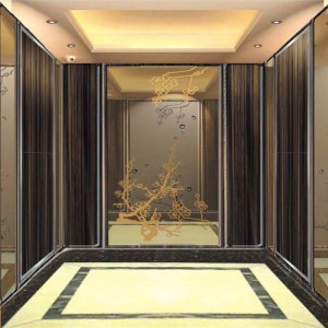 Mirror Etched Titanium Stainless Steel Sheet For Elevator decorative steel sheet