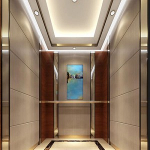 Grade 304 Mirror Etching Stainless Steel Passenger Elevator for Hotel