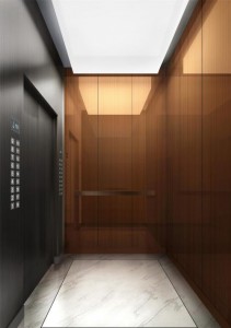 Passenger Elevator with Mirror Etched Stainless Steel