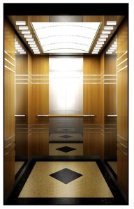 Hotel Passenger Elevator with Color Etched Stainless Steel