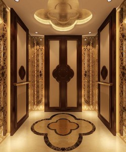 Good Quality Passenger Elevator with Etched Stainless Steel