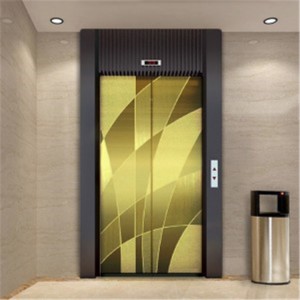 ascenseur acier inoxydable décoratif feuille 