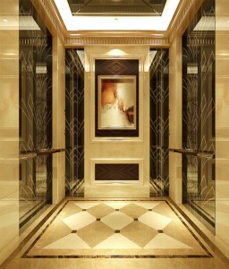 Stainless Steel Color Etched Embossed Wall Panel Elevator Lift Sheet