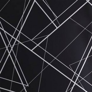 Grade 304 Transfer Printing Stainless Steel Sheet For Home Decoration