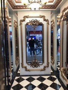 Passenger Elevator with Mirror Etched Stainless Steel