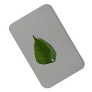 stainless steel mirror sheet color stainless steel plate price per kg