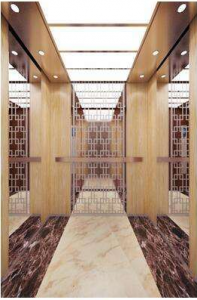 Machine Roomless Passenger Elevators / Lifts with Comfortable Space