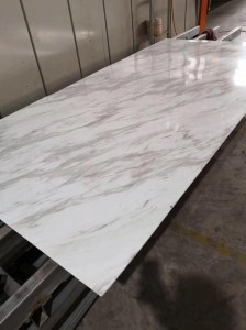 Grade 304 Transfer Printing Stainless Steel Sheet For Wall Decoration