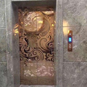 Mirror Etching Stainless Steel Passenger Home Panoramic Elevator