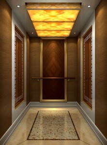 Mirror Etching Stainless Steel Passenger Home Panoramic Elevator