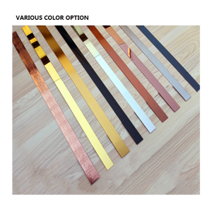 Adhesive Roll Metal Stainless Steel Adhesive Flat