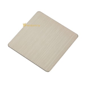 Brushed Stainless Steel Plate Four Feet