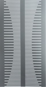 Super Mirror Etched Stainless Steel Plate