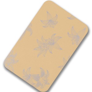 201 PVC Lamination Stainless Steel Sheet for Cabinet Decorations