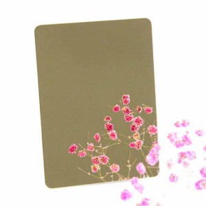 Champagne Gold Mirror Stainless Steel Decorative Plate