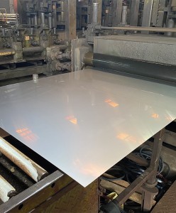 3mm Thickness 316L Stainless Steel Plates with High Quality